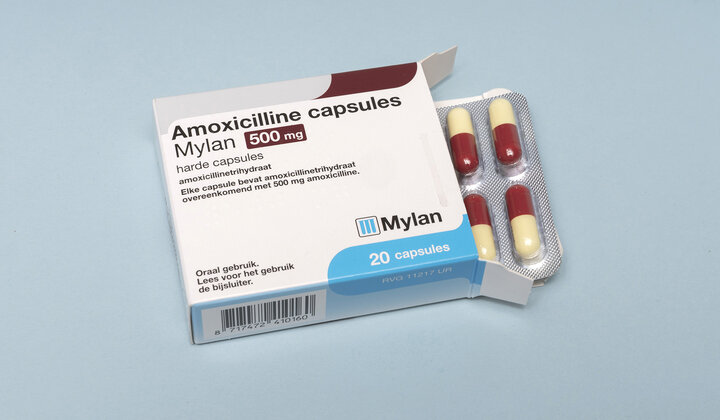 Heeft amoxicilline via darmflora invloed op depressie?