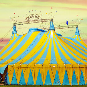 Lustrumcongres NVvE ‘Het endo circus’